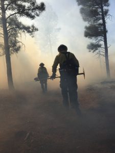 wild land fire fighters walk through smoke on prescribed burn