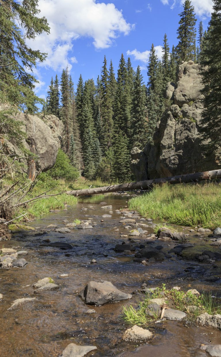 East Fork of the Jemez River. New Mexico’s Rio Grande and its tributaries supply water to more